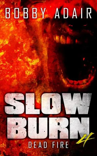 Cover of Dead Fire by Bobby Adair